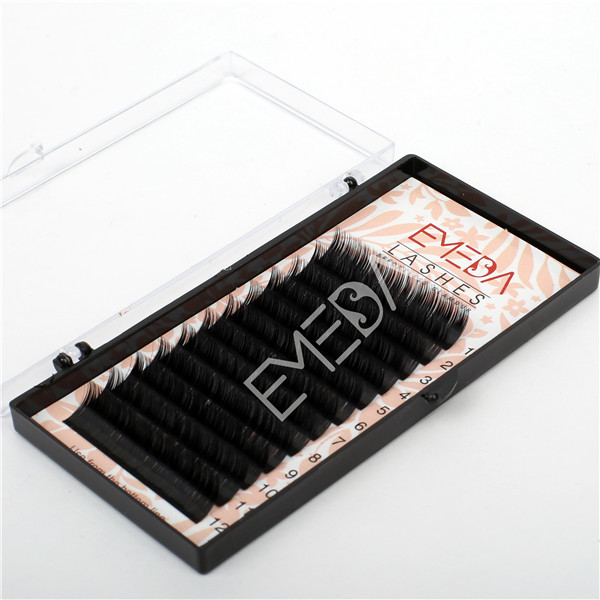 Blink Mink Most Popular Eyelash Extensions EL43